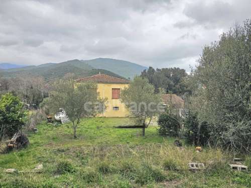 Omessa Haute-Corse house foto 7297915