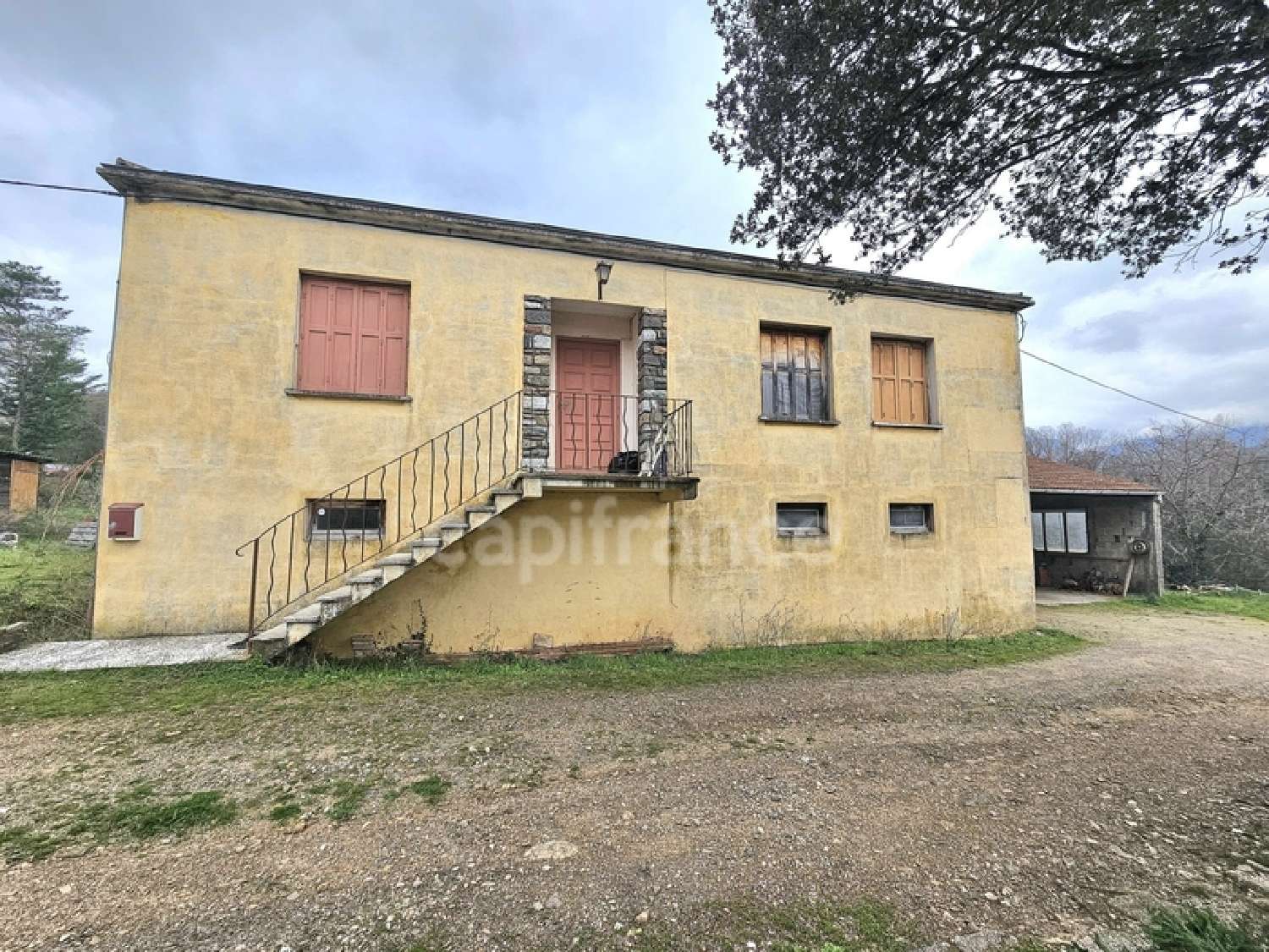 for sale house Omessa Haute-Corse 5