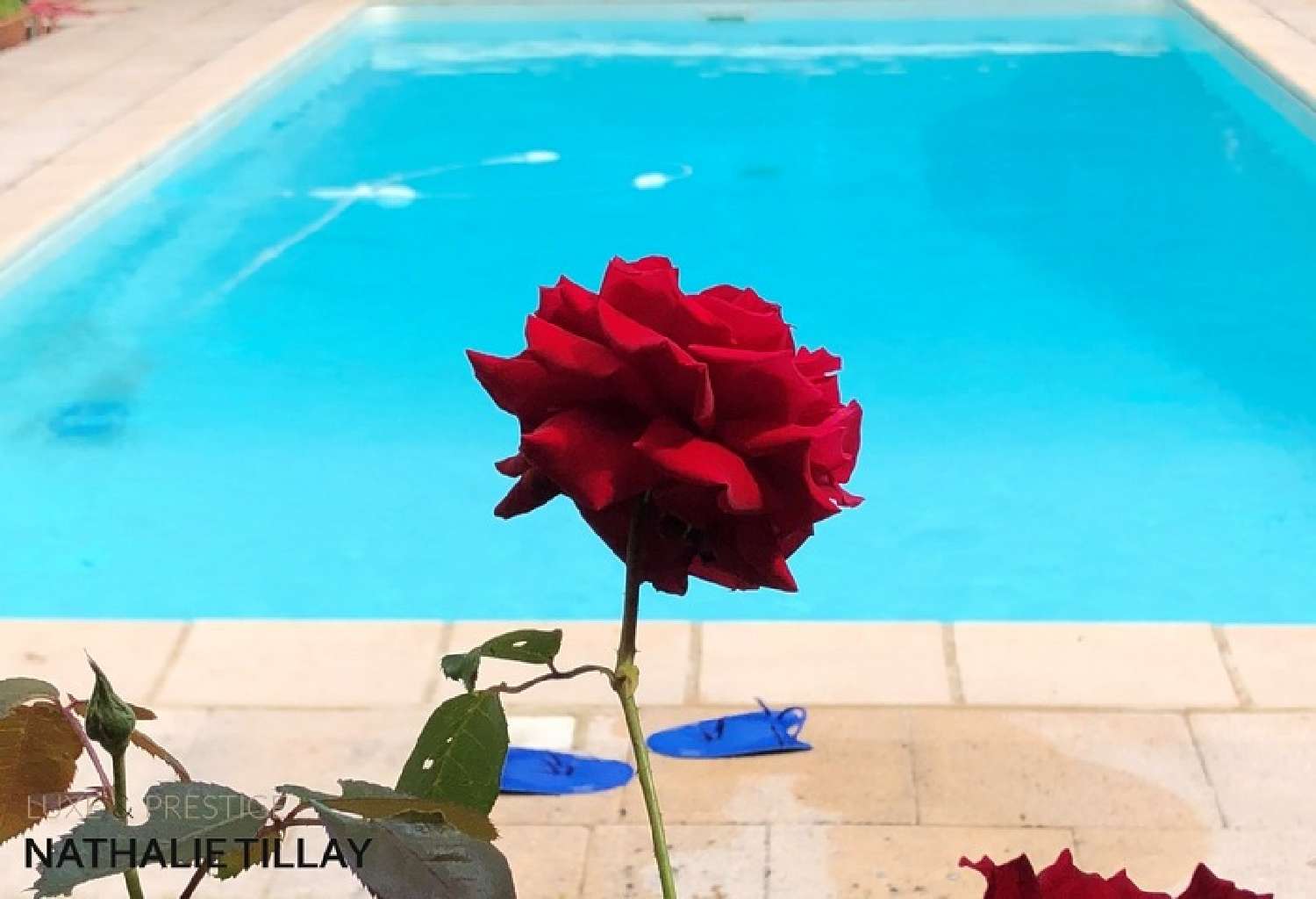  kaufen Haus Orléans 45100 Loiret 5