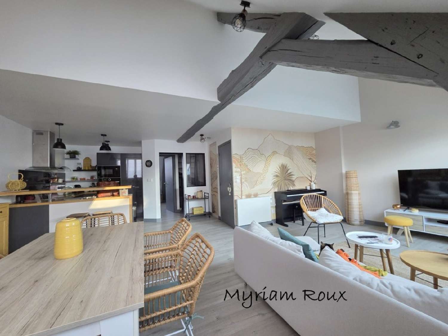  te koop huis Orléans 45100 Loiret 1