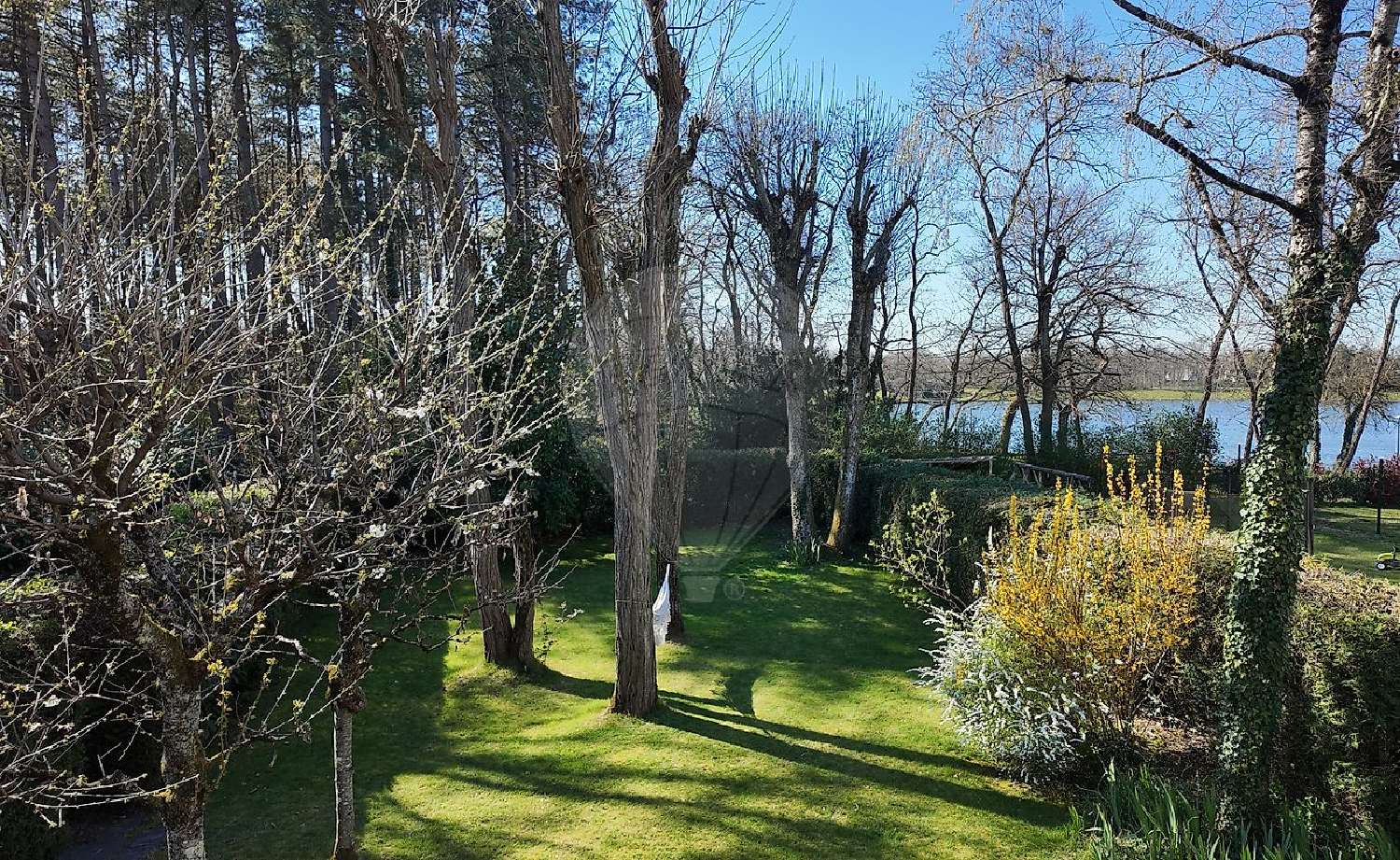 for sale house Orléans 45100 Loiret 3