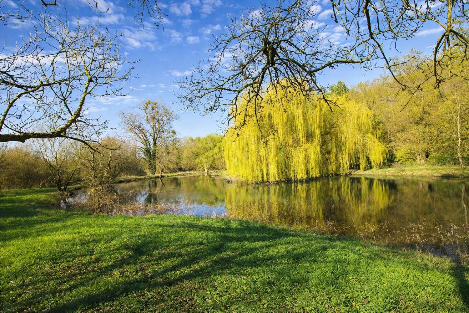  kaufen Haus Pacy-sur-Eure Eure 4