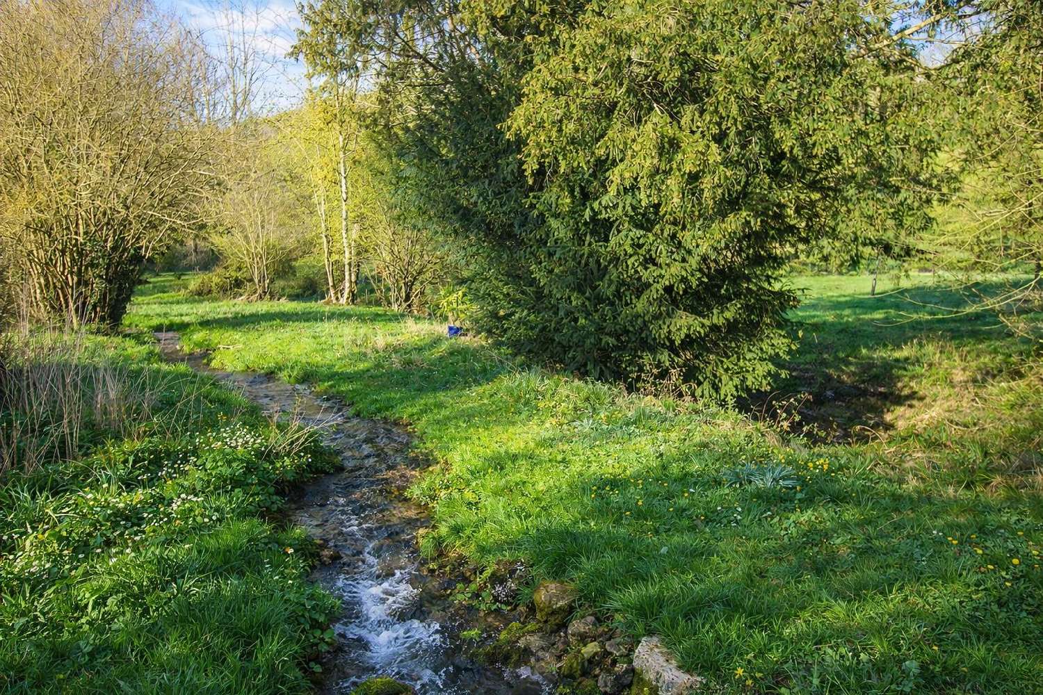  kaufen Haus Pacy-sur-Eure Eure 7