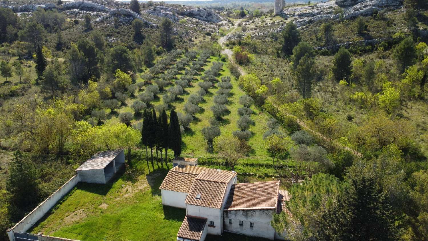 kaufen Haus Paradou Bouches-du-Rhône 5