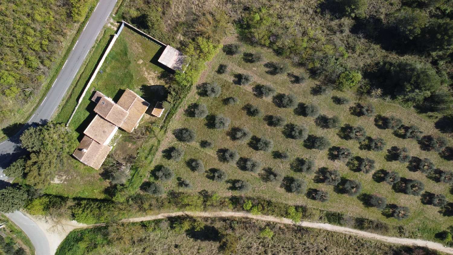 kaufen Haus Paradou Bouches-du-Rhône 8