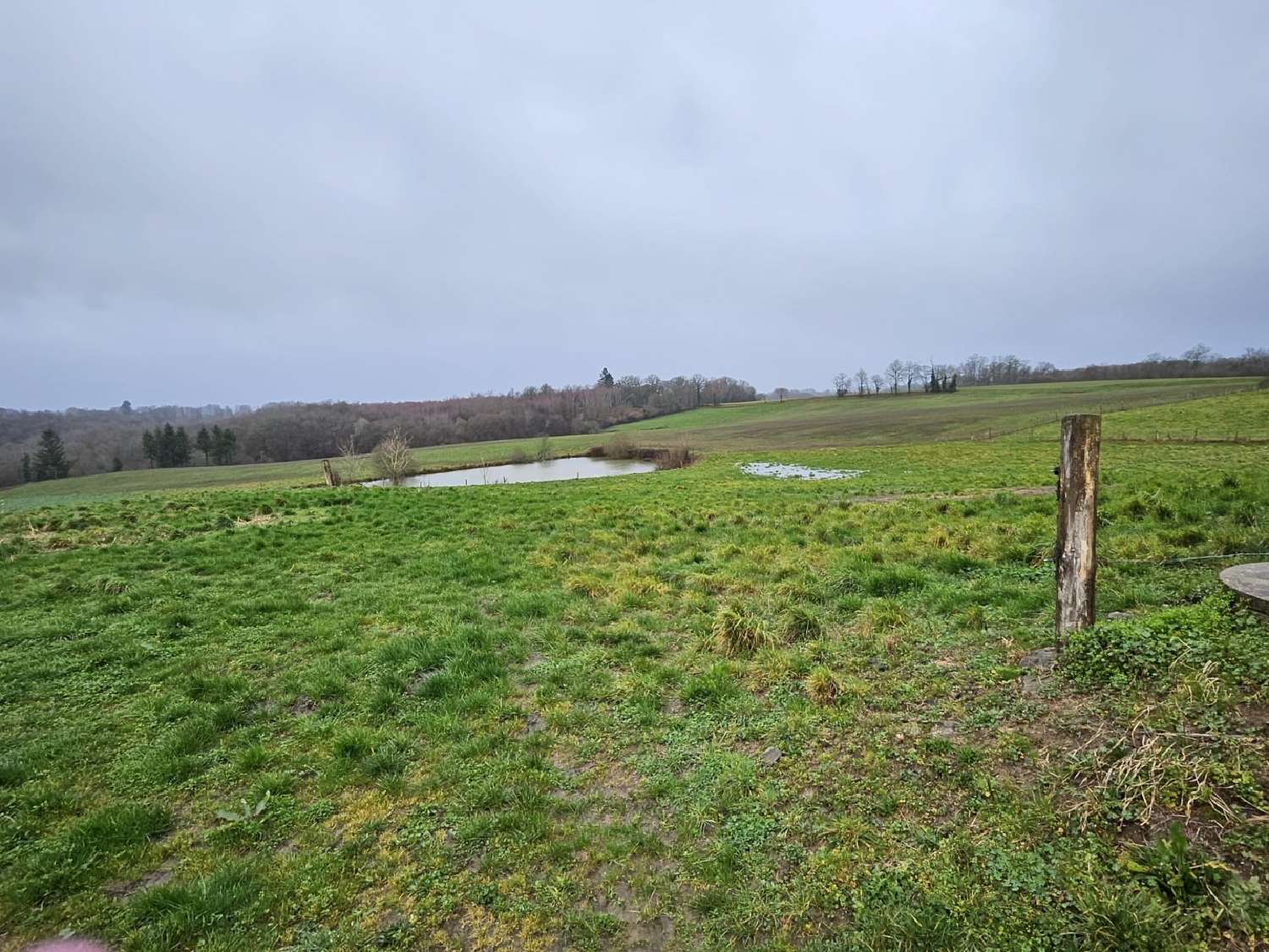  te koop huis Payzac Dordogne 7