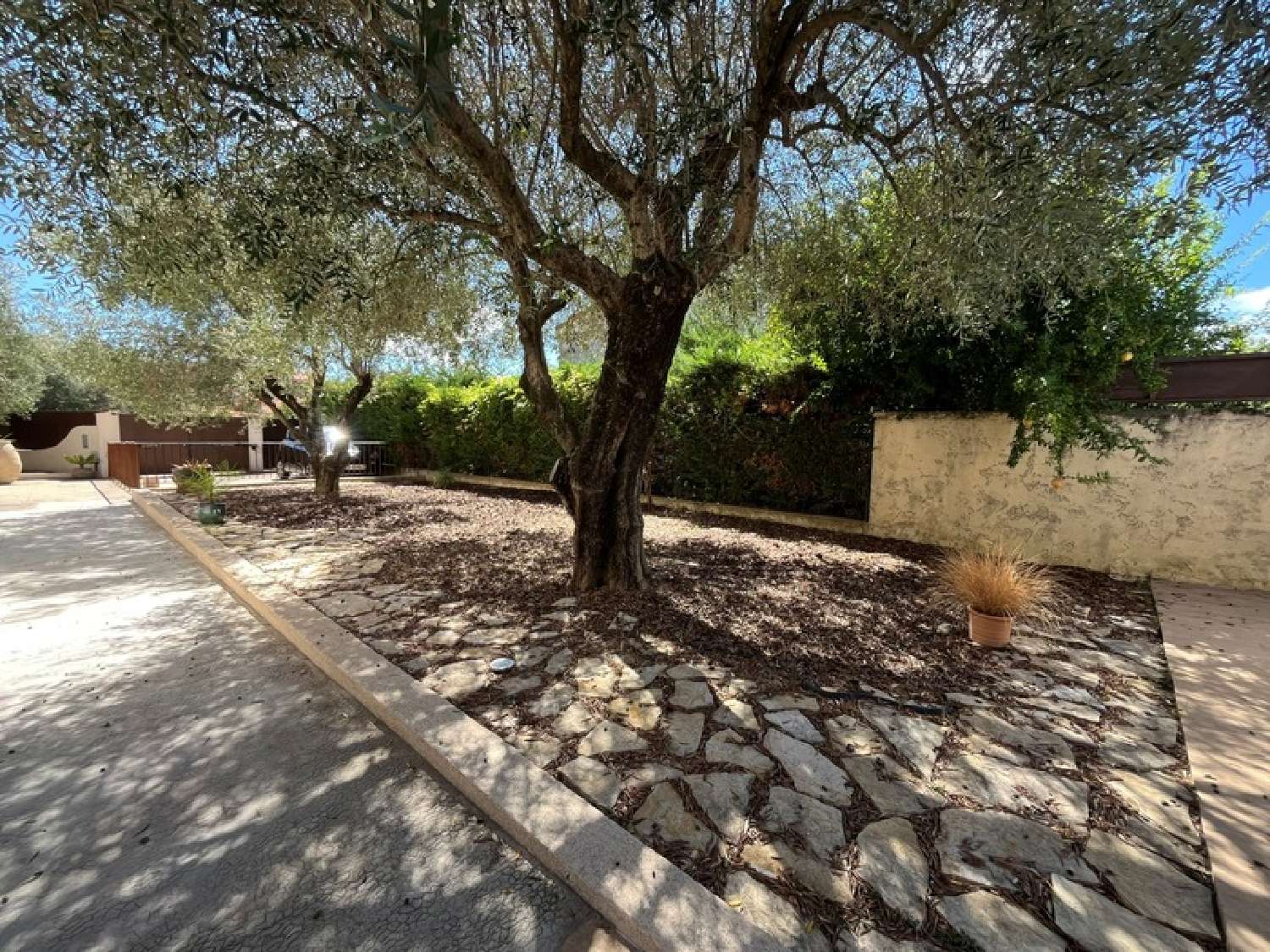 à vendre maison Pégomas Alpes-Maritimes 7