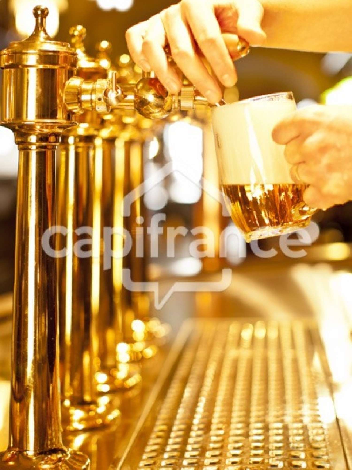  for sale house Périgueux Dordogne 1