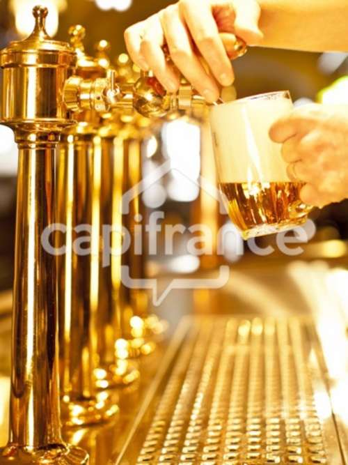 Périgueux Dordogne house foto 7273236