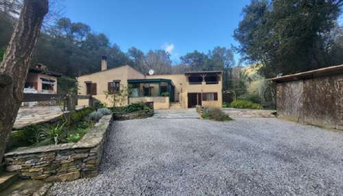 Piedicorte-di-Gaggio Haute-Corse huis foto 7285893