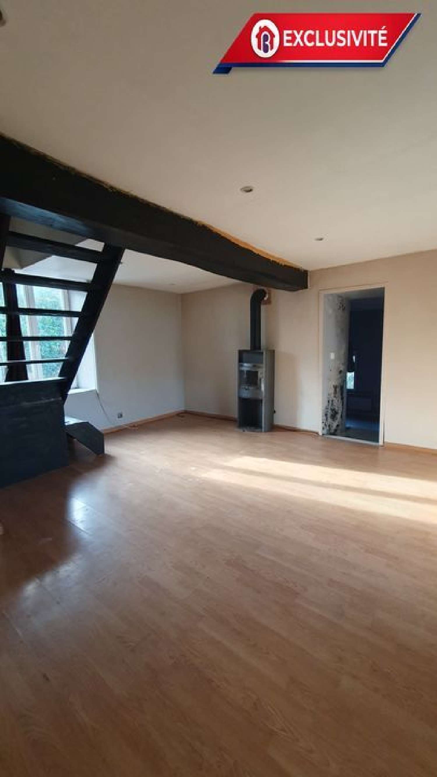  te koop huis Pithiviers Loiret 1