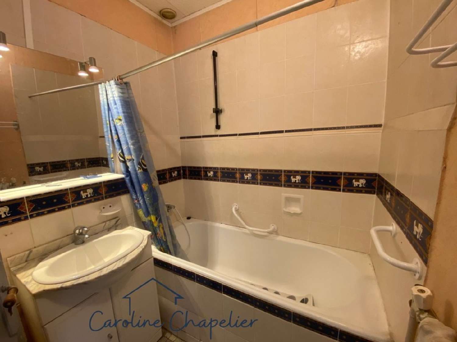 for sale house Plaisance-du-Touch Haute-Garonne 7