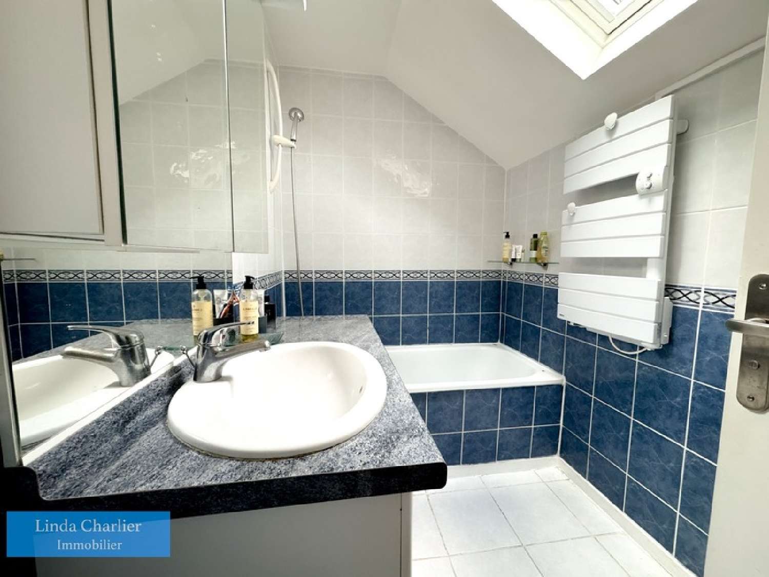 te koop huis Plaisir Yvelines 8