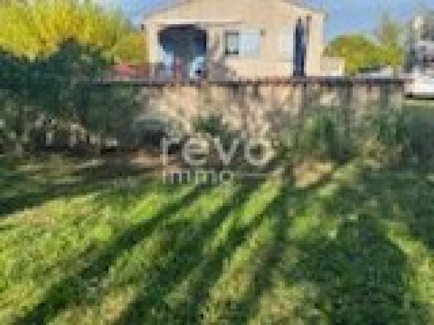  te koop huis Plaissan Hérault 2