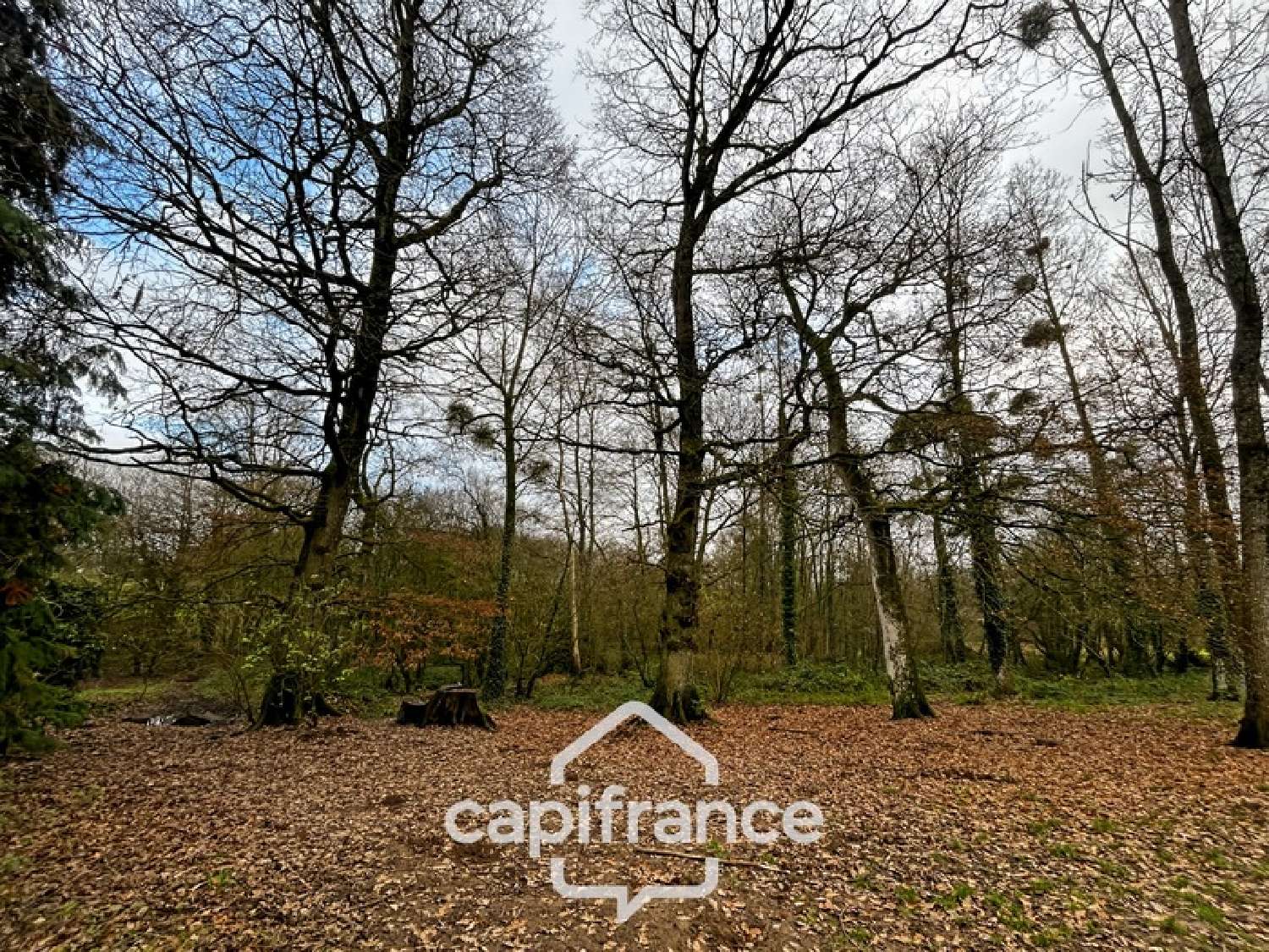  te koop huis Plémet Côtes-d'Armor 6