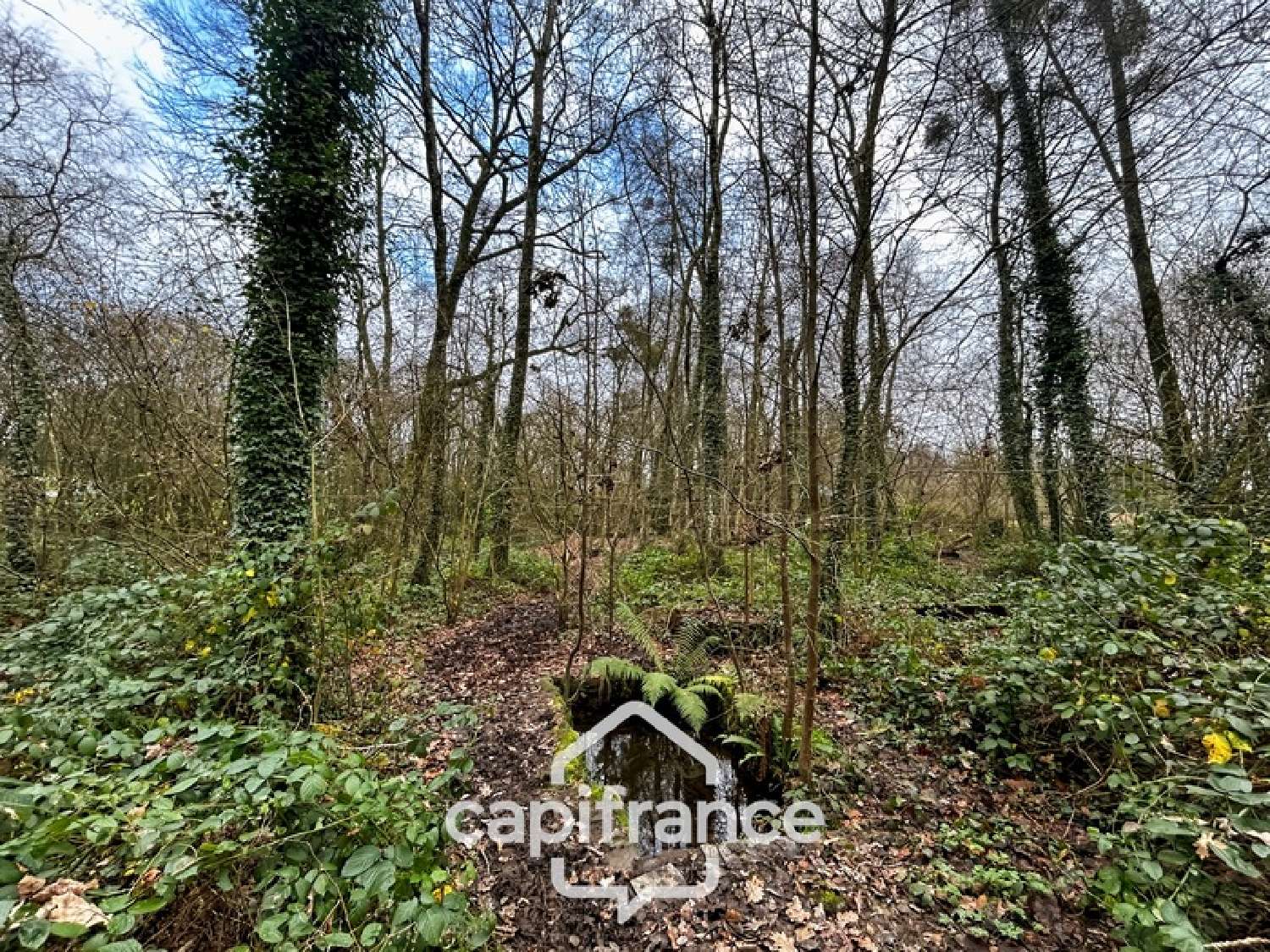  te koop huis Plémet Côtes-d'Armor 7