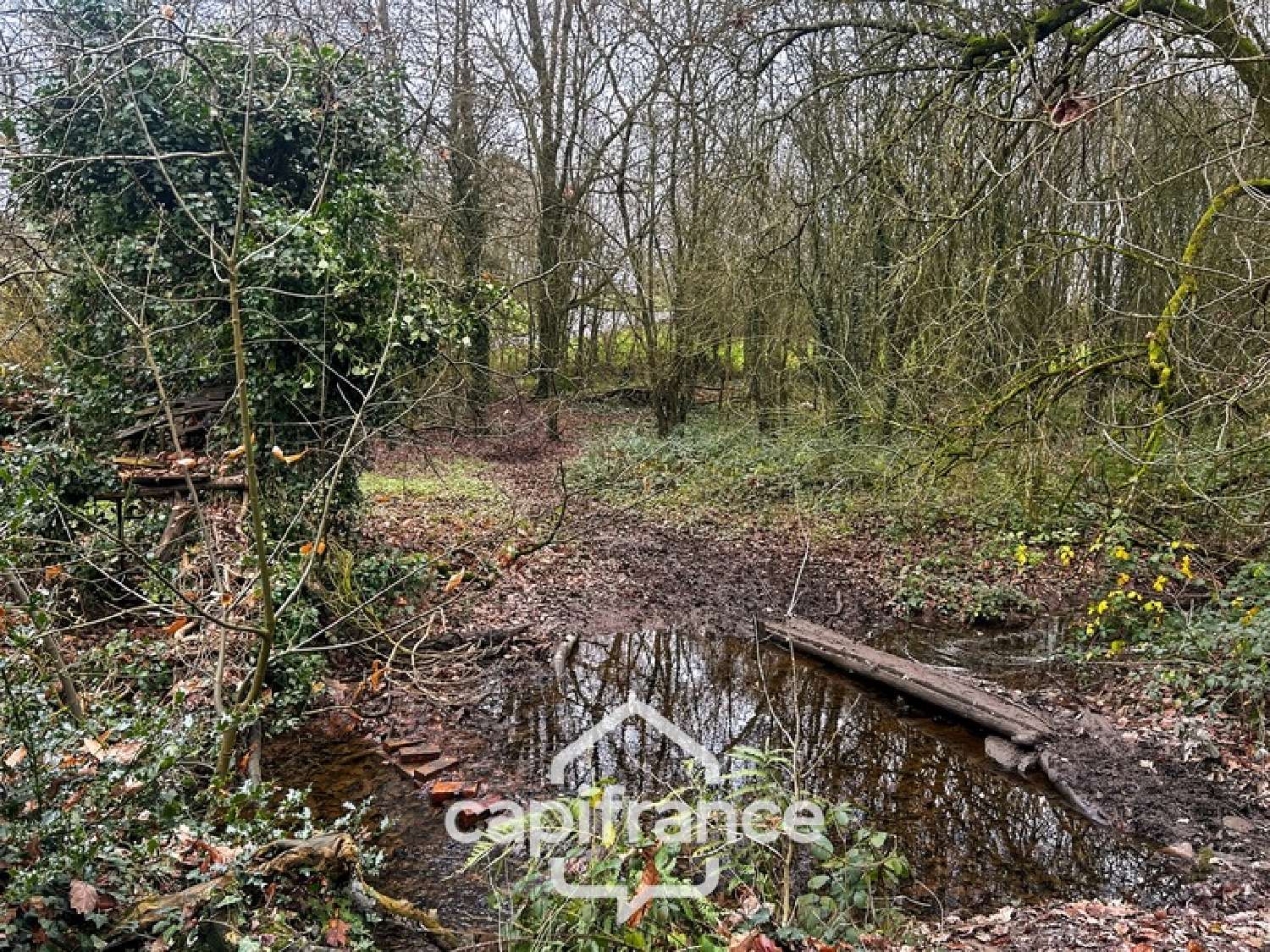  te koop huis Plémet Côtes-d'Armor 8