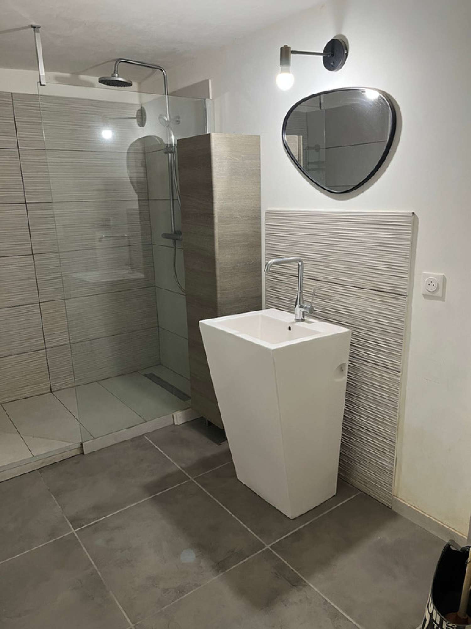  for sale house Pommiers Rhône 7