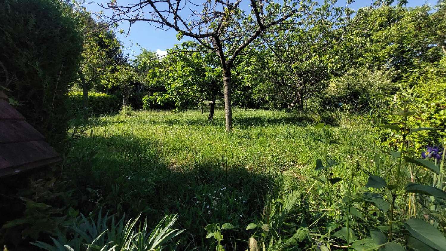  kaufen Haus Pont-sur-Yonne Yonne 4