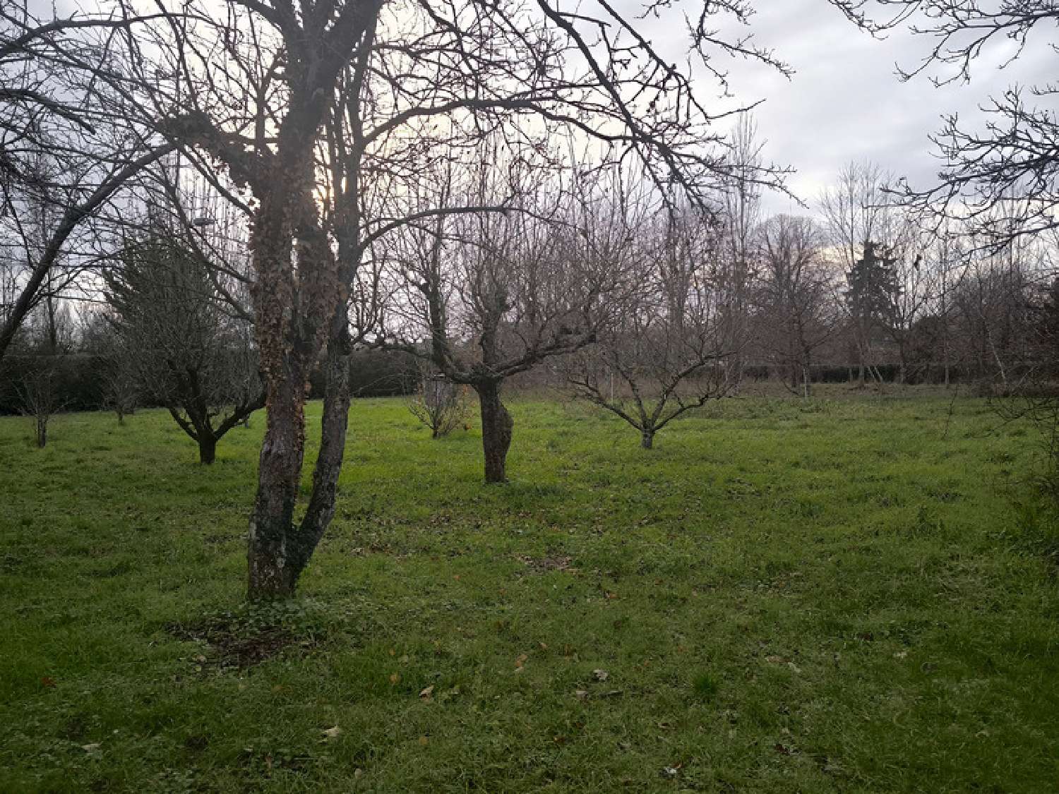  kaufen Haus Précigné Sarthe 3