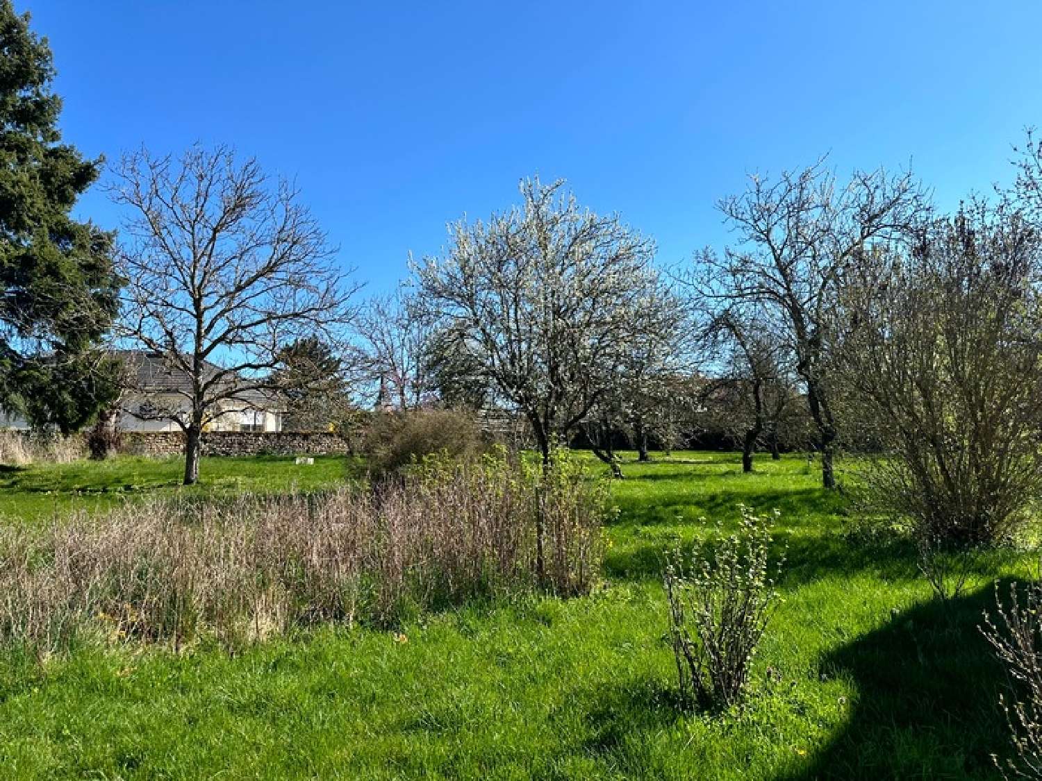 en venta casa Précy-sous-Thil Côte-d'Or 6