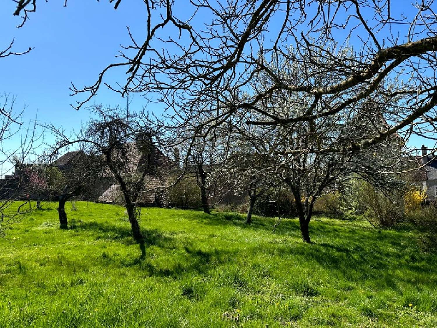 en venta casa Précy-sous-Thil Côte-d'Or 8