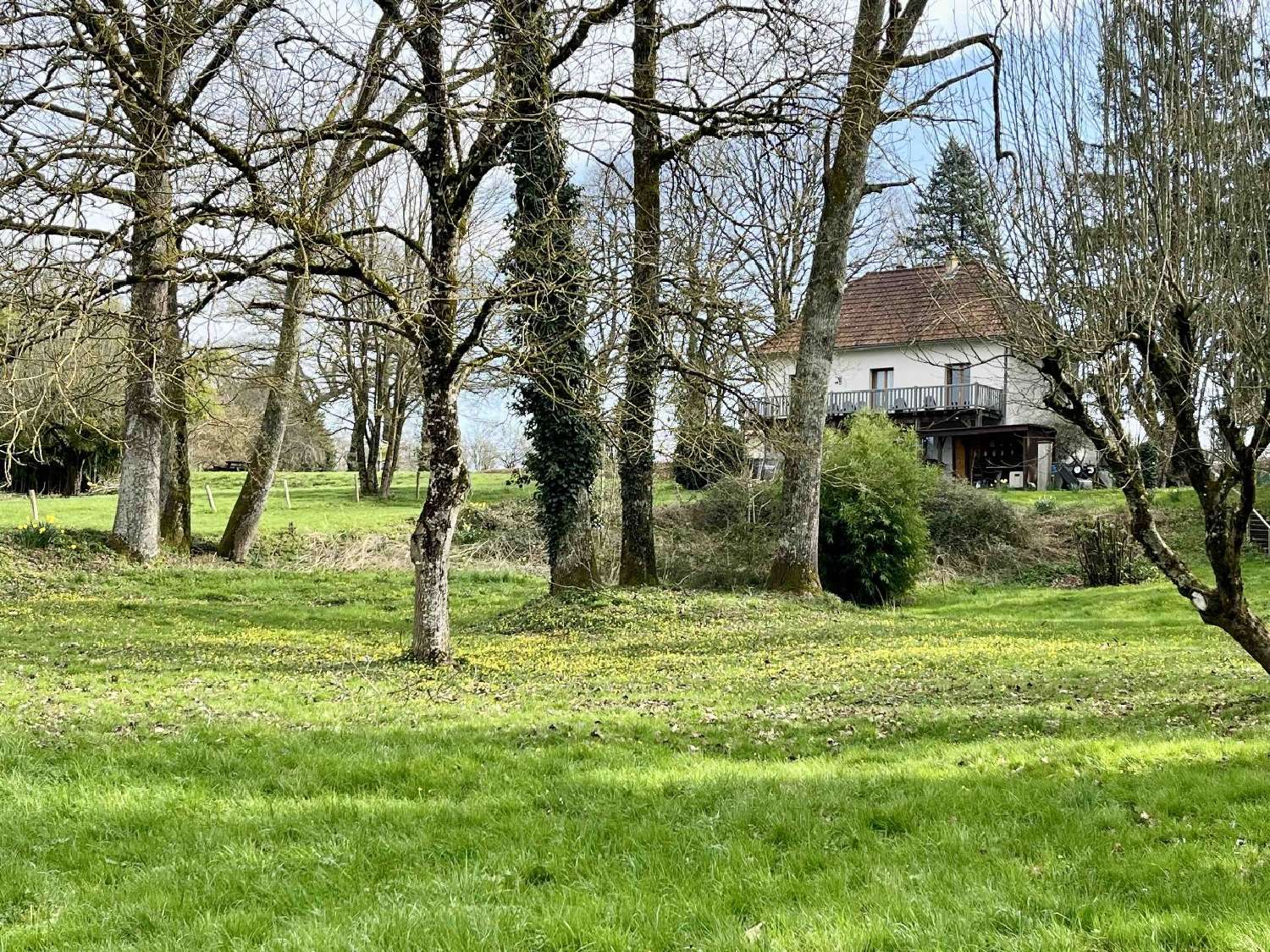  te koop huis Pressac Vienne 4