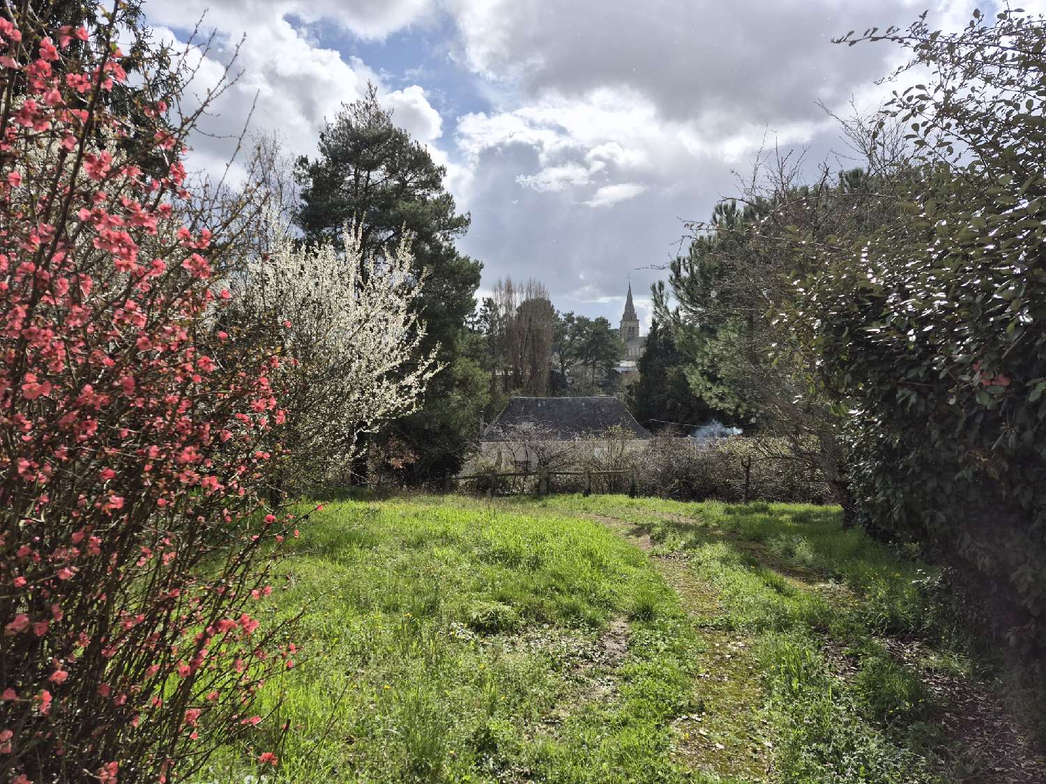 à vendre maison Preuilly-sur-Claise Indre-et-Loire 8