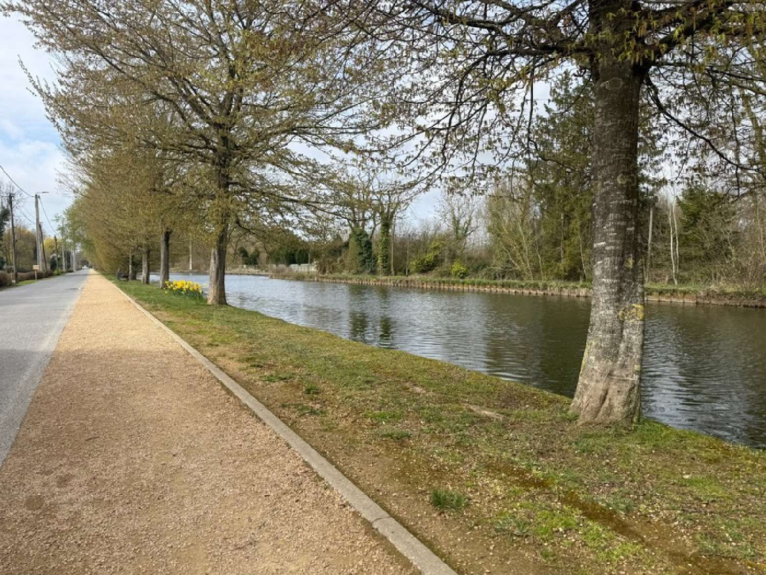  for sale house Proville Nord 5