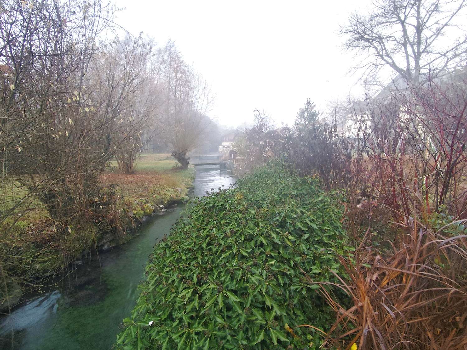  à vendre maison Pugieu Ain 5