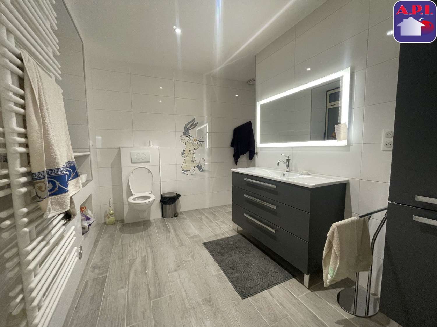  à vendre maison Puivert Aude 6