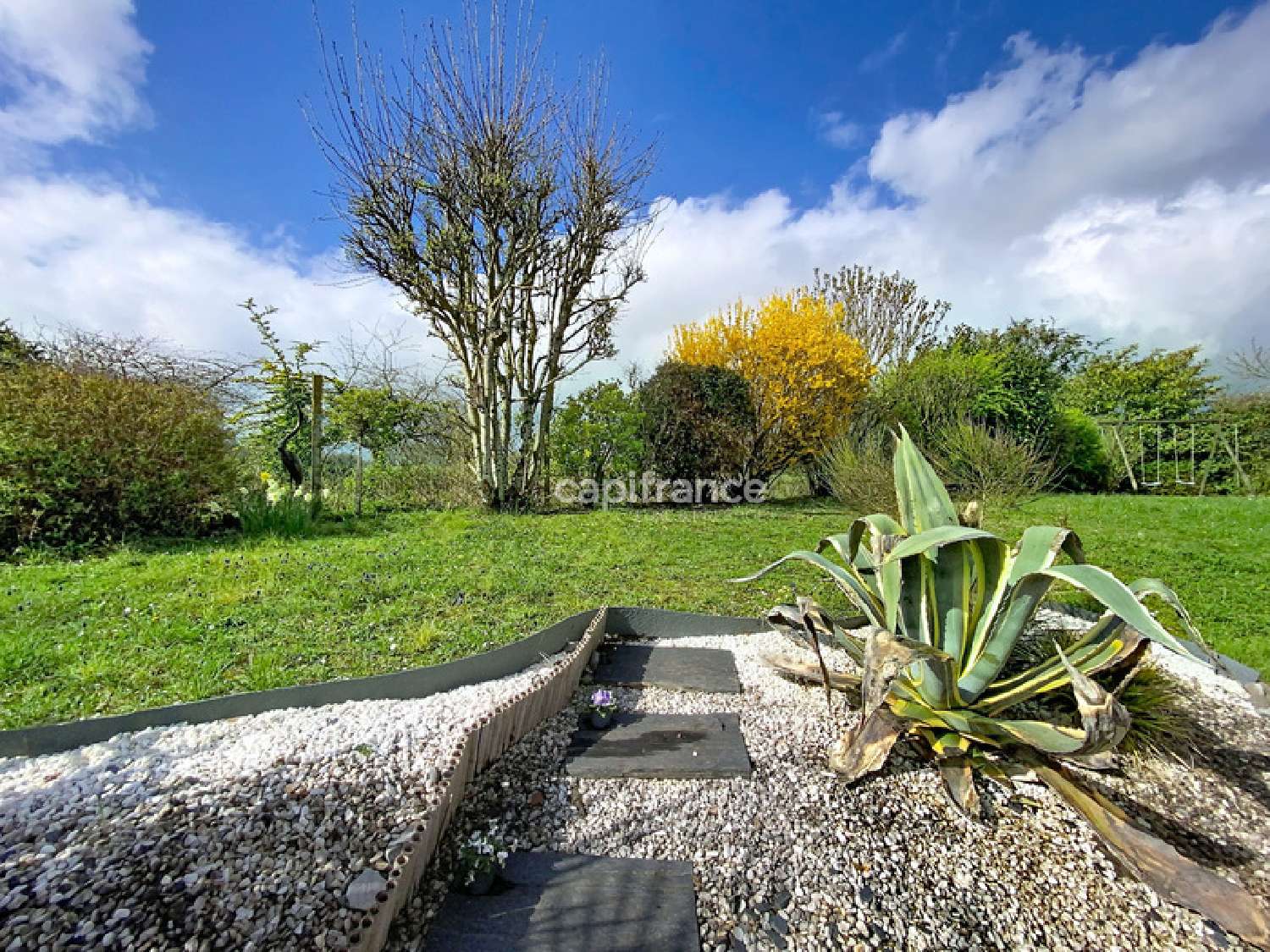  kaufen Haus Rochecorbon Indre-et-Loire 8