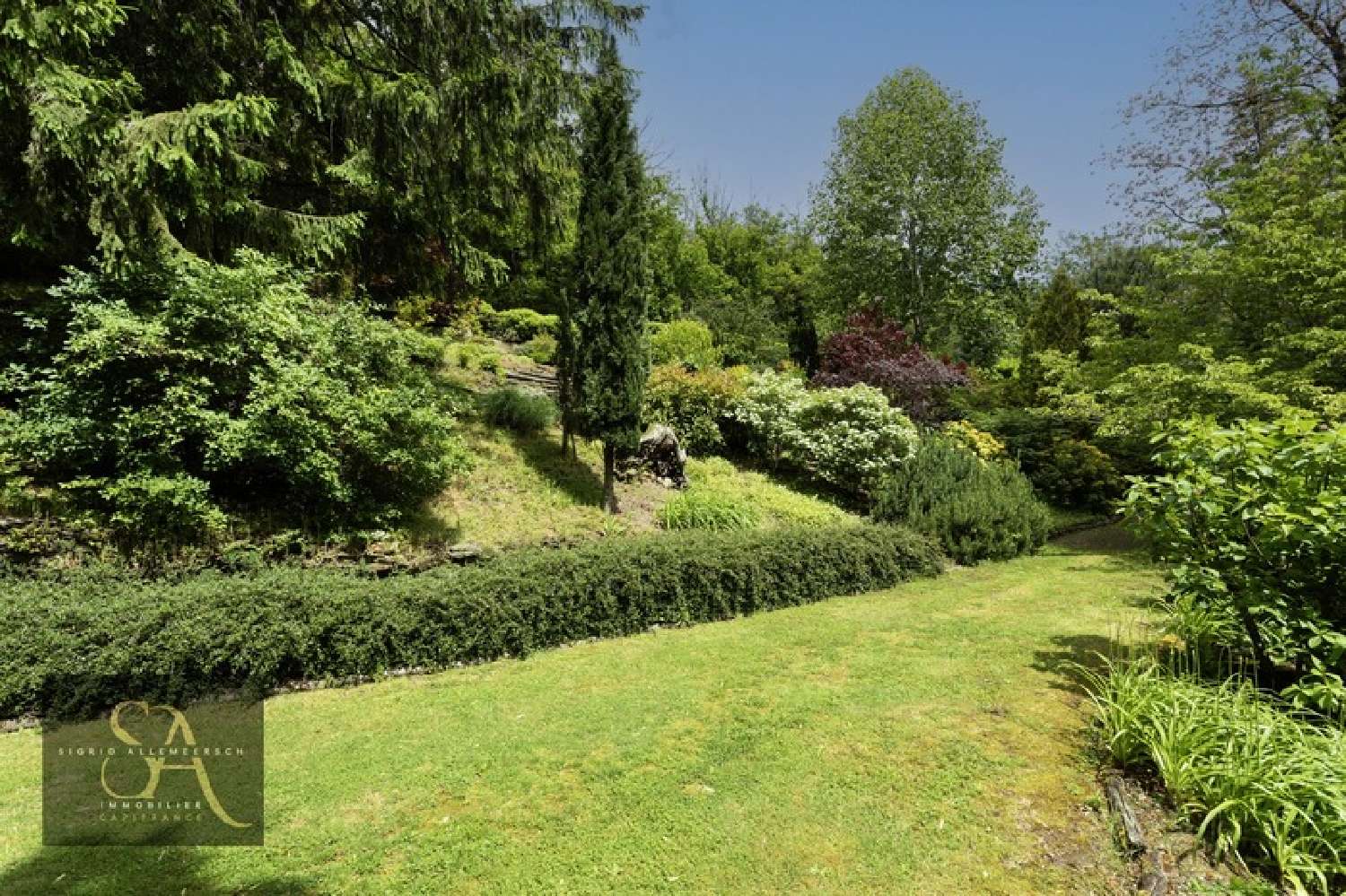  te koop huis Roquefère Aude 5