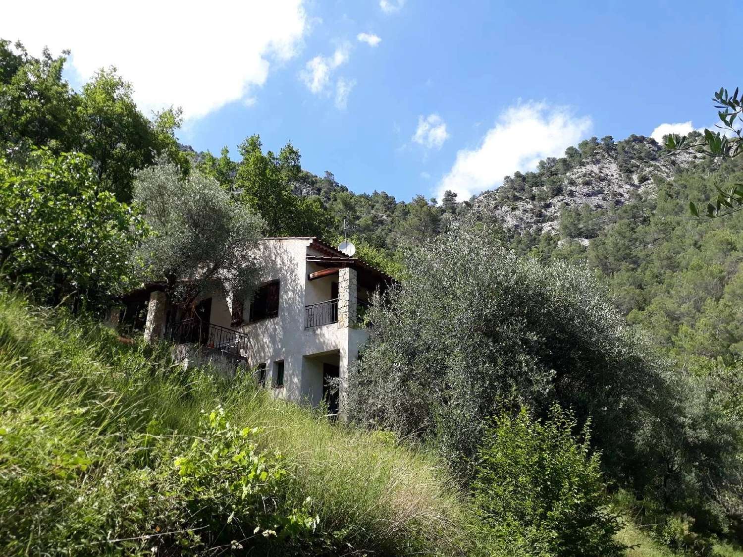  kaufen Haus Roquestéron Alpes-Maritimes 1