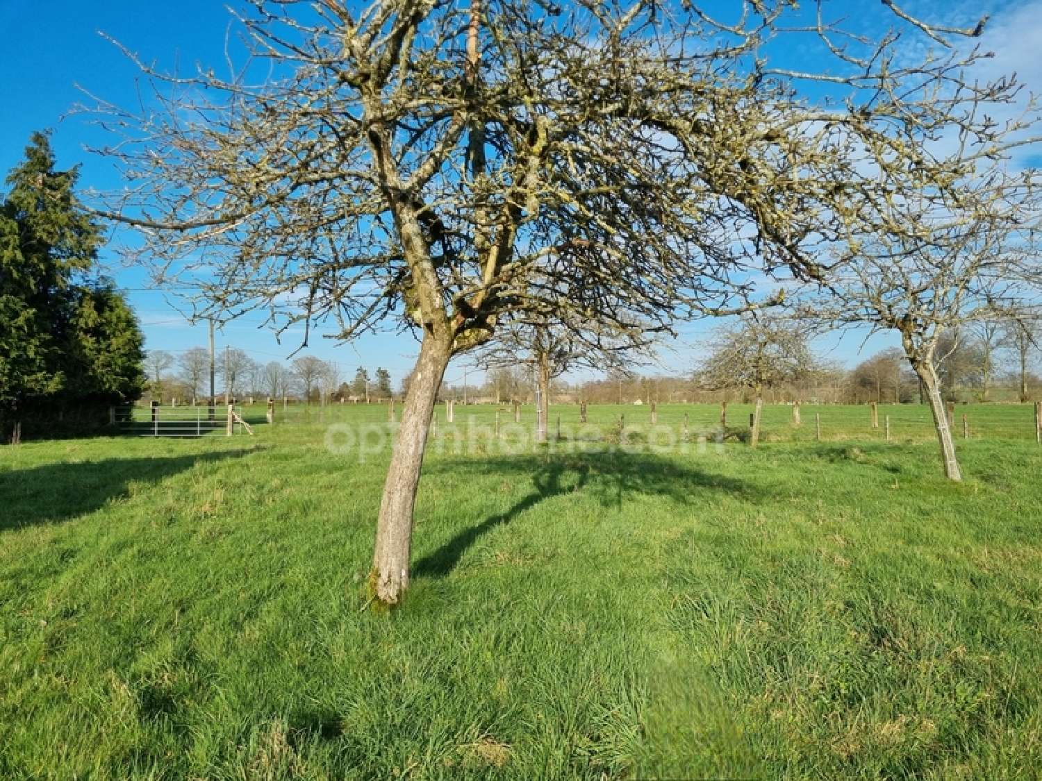  te koop huis Roullours Calvados 3