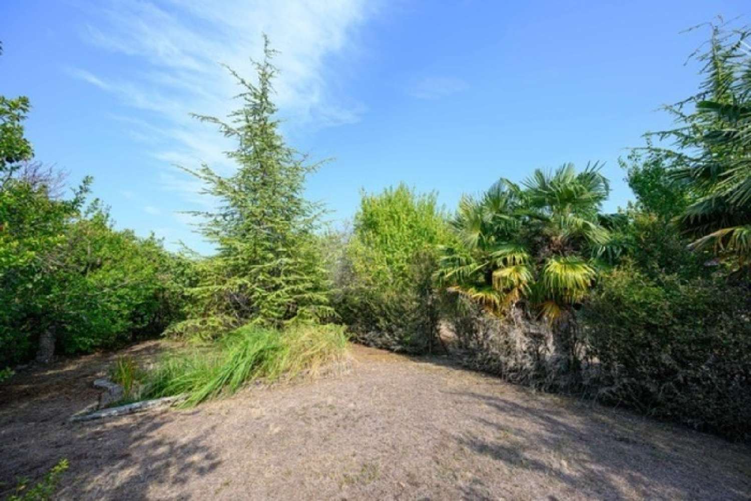  kaufen Haus Ruelle-sur-Touvre Charente 5