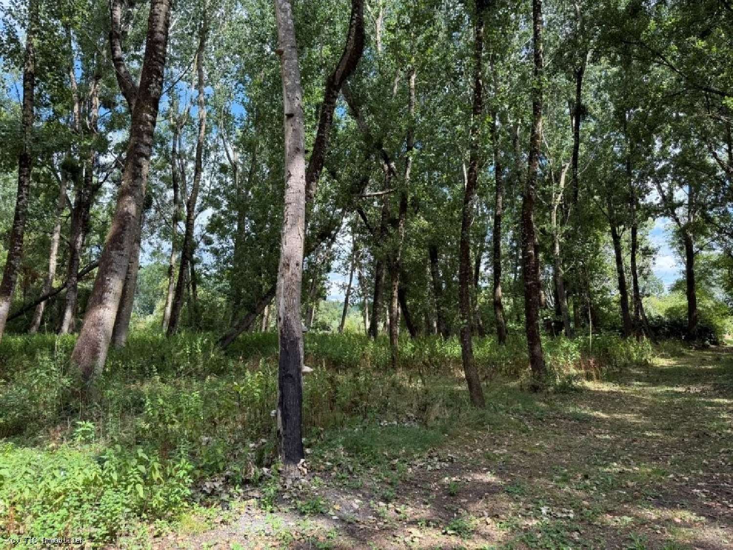  te koop huis Ruffec Charente 4