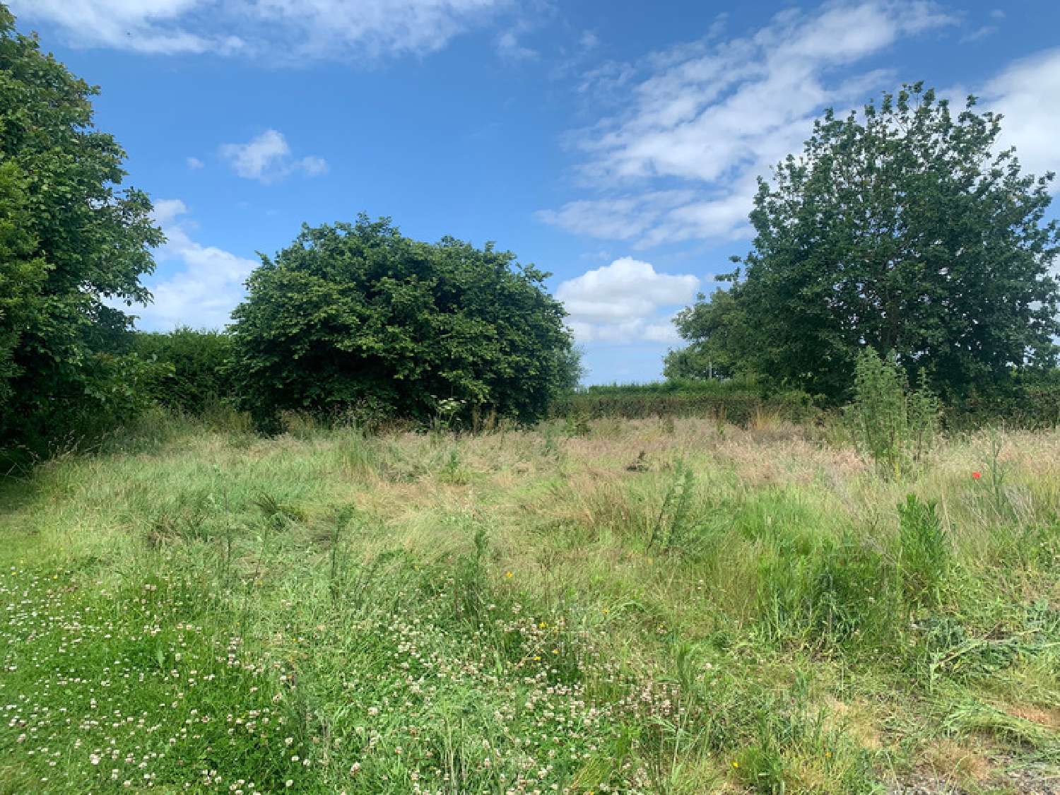  te koop huis Saint-Alban Côtes-d'Armor 4