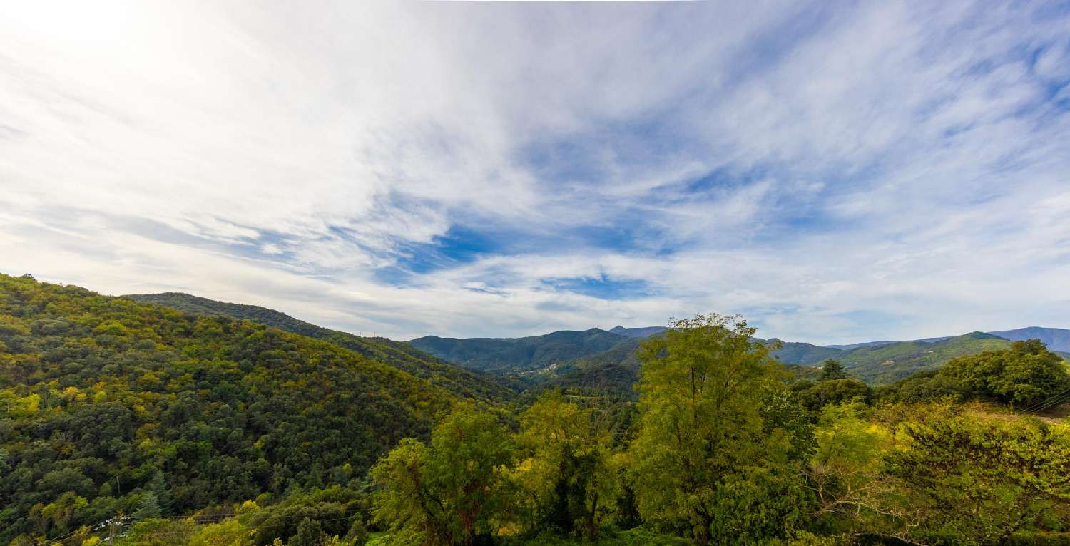 te koop huis Saint-André-de-Majencoules Gard 8