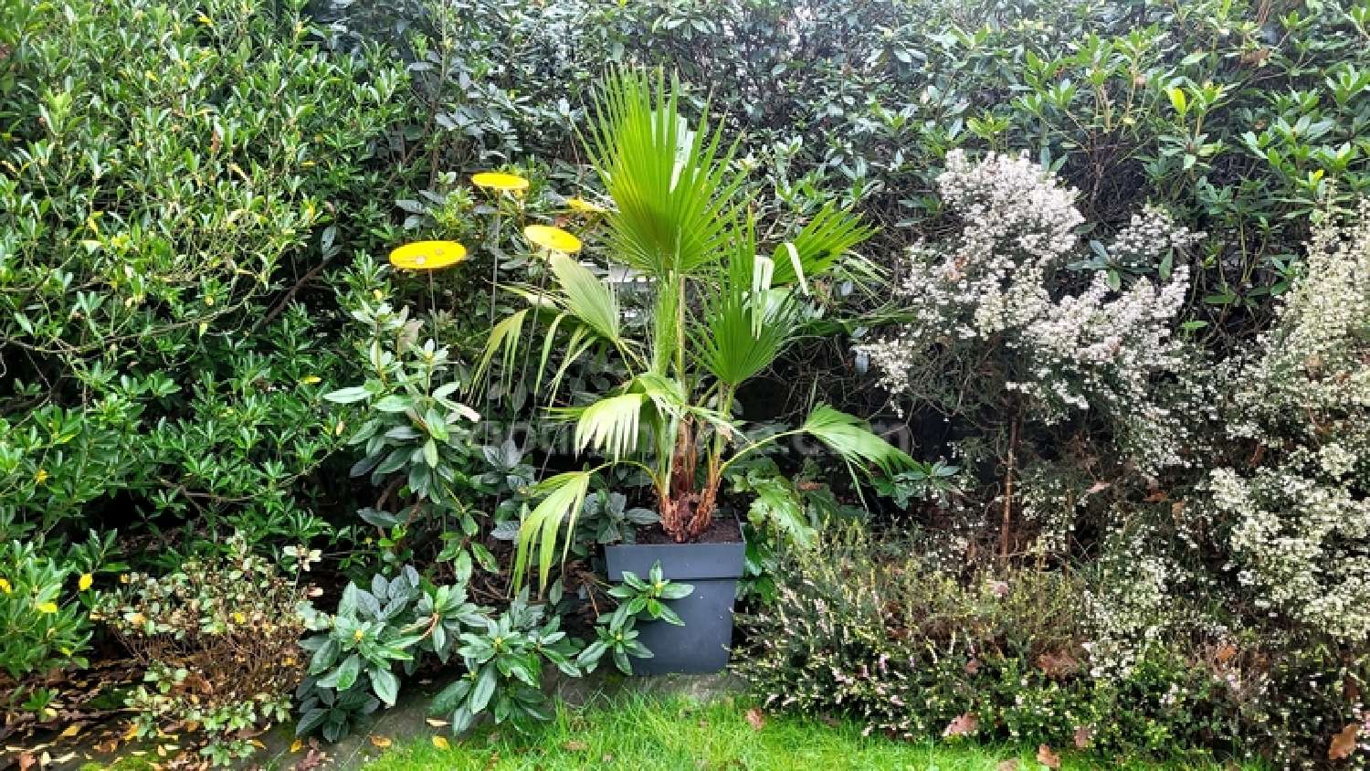  te koop huis Saint-Avé Morbihan 8