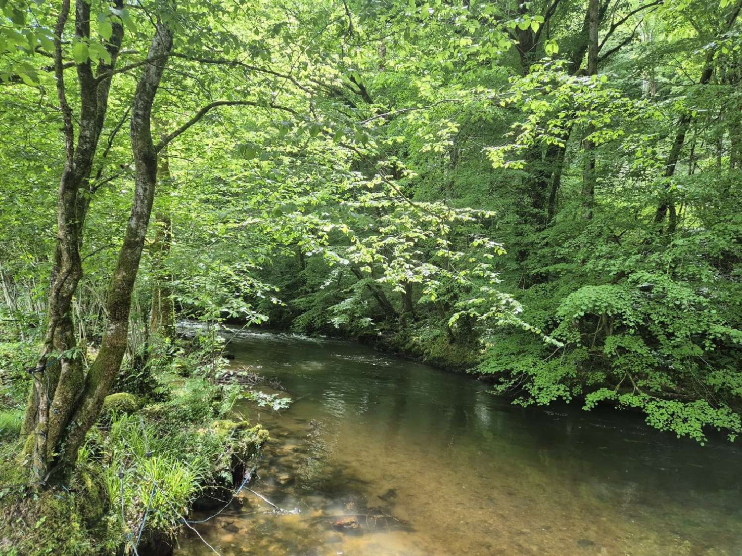 te koop huis Saint-Céré Lot 2