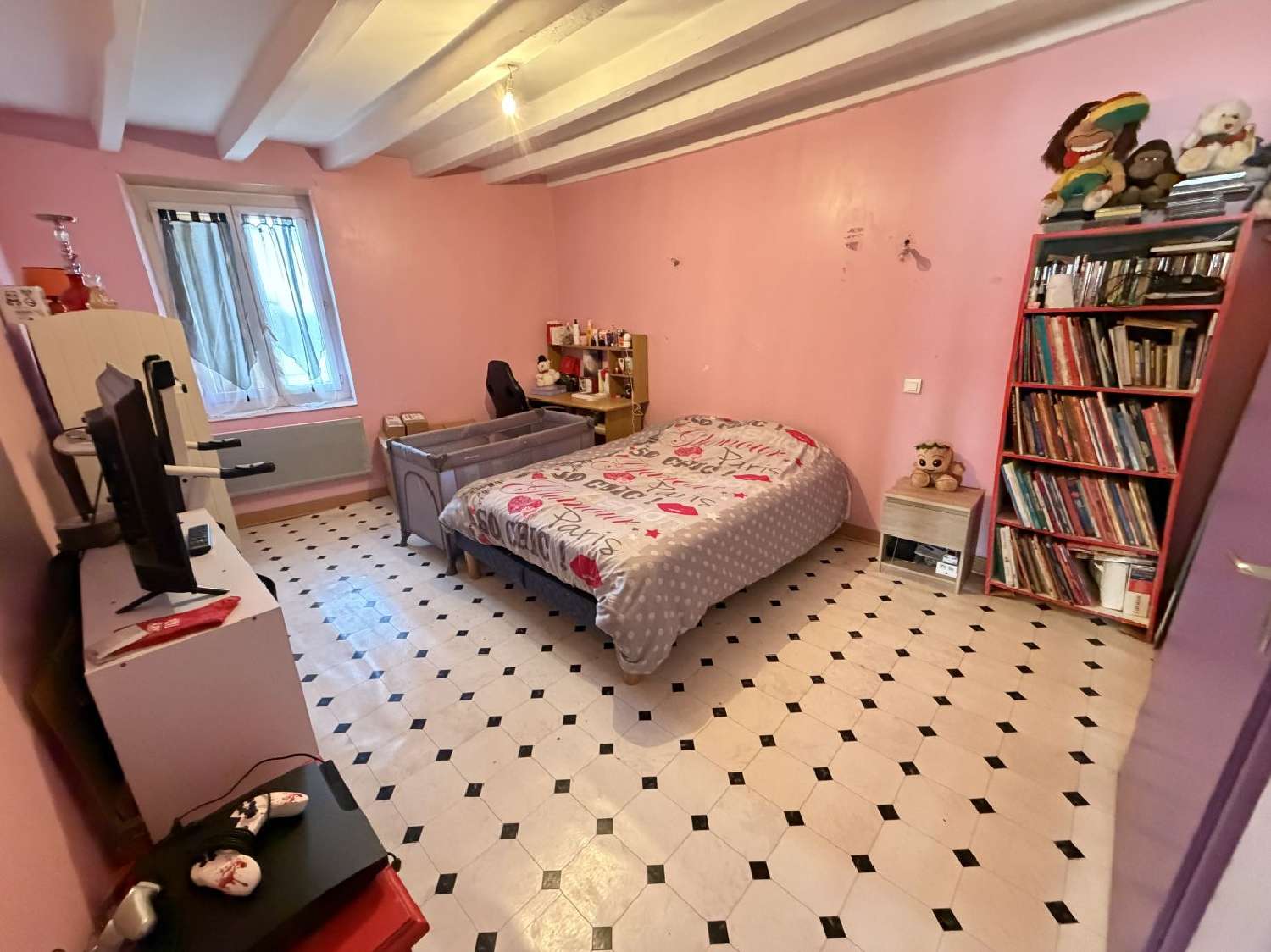  à vendre maison Saint-Cyr-sur-Menthon Ain 4