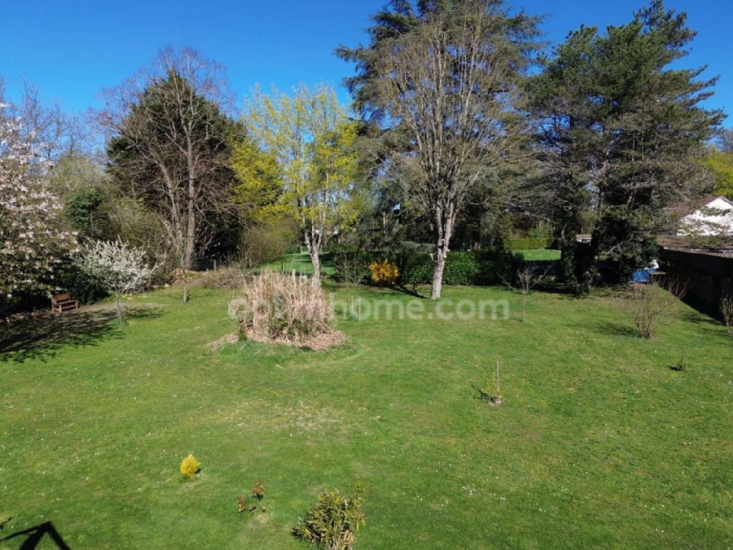 te koop huis Saint-Éloi Nièvre 4