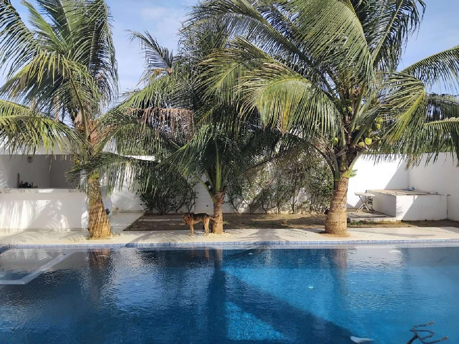  te koop huis Saint-Fiel Creuse 5