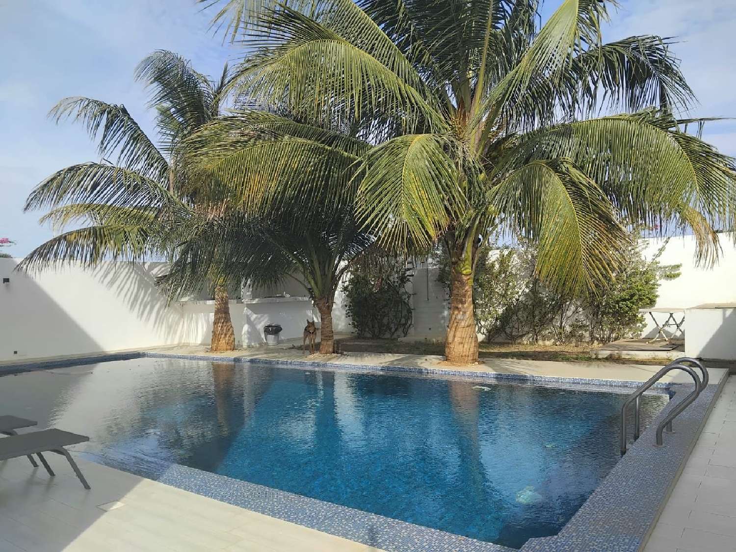  te koop huis Saint-Fiel Creuse 6