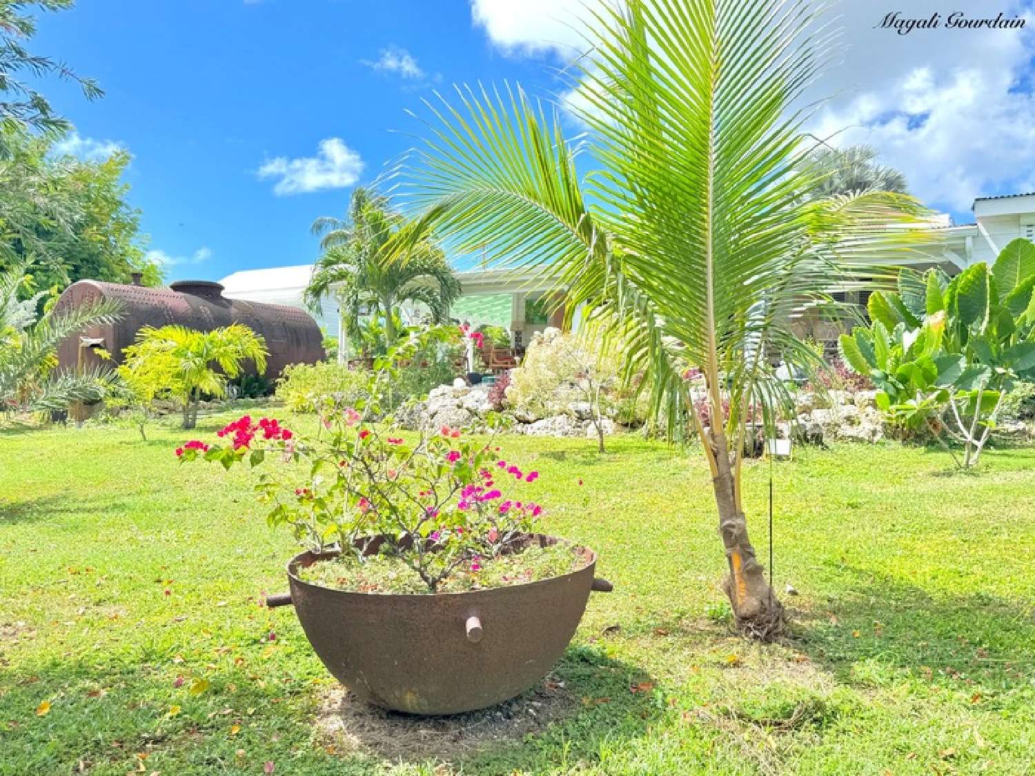  à vendre maison Saint-François Guadeloupe 4