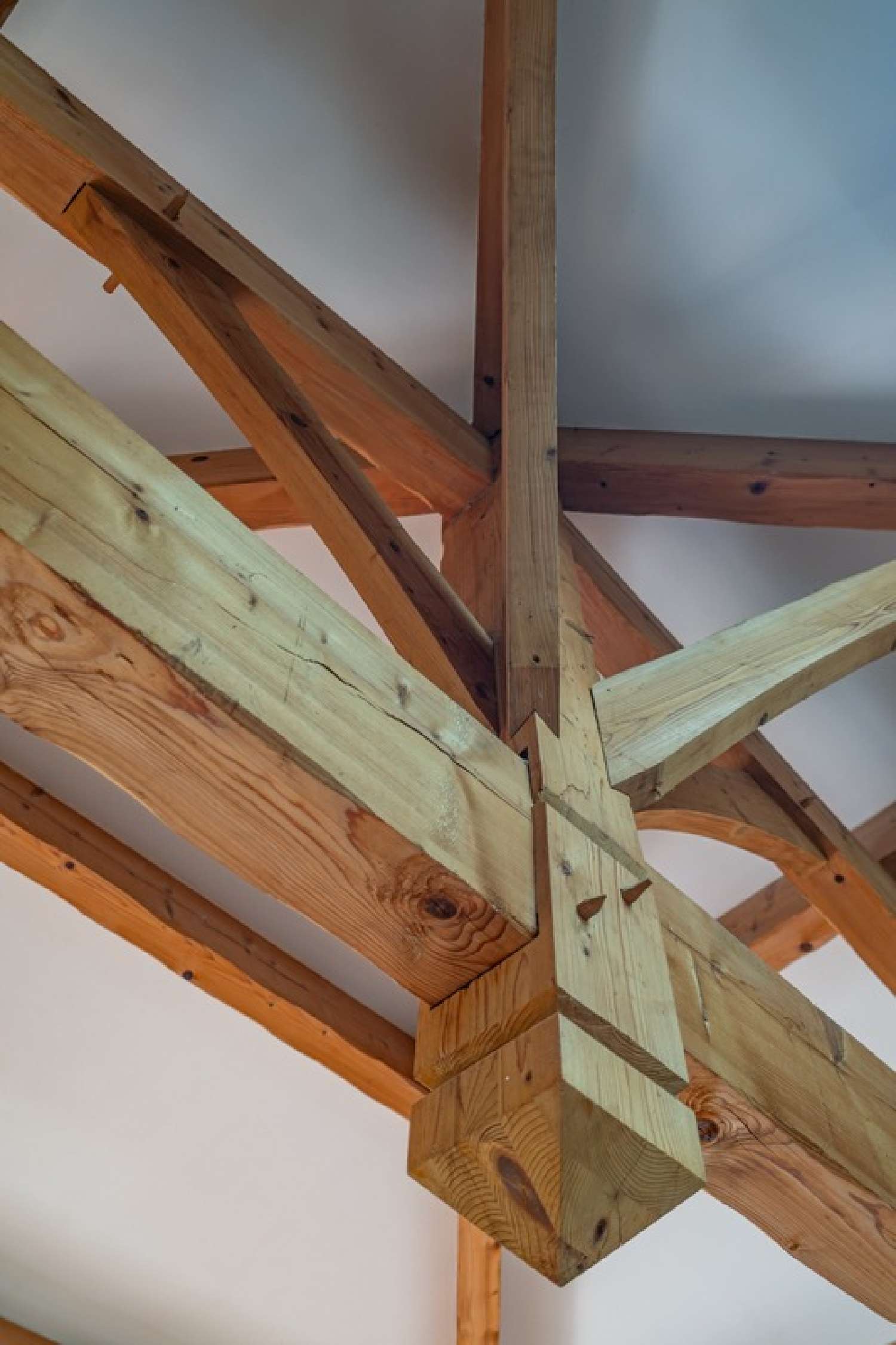 for sale house Saint-Gély-du-Fesc Hérault 8