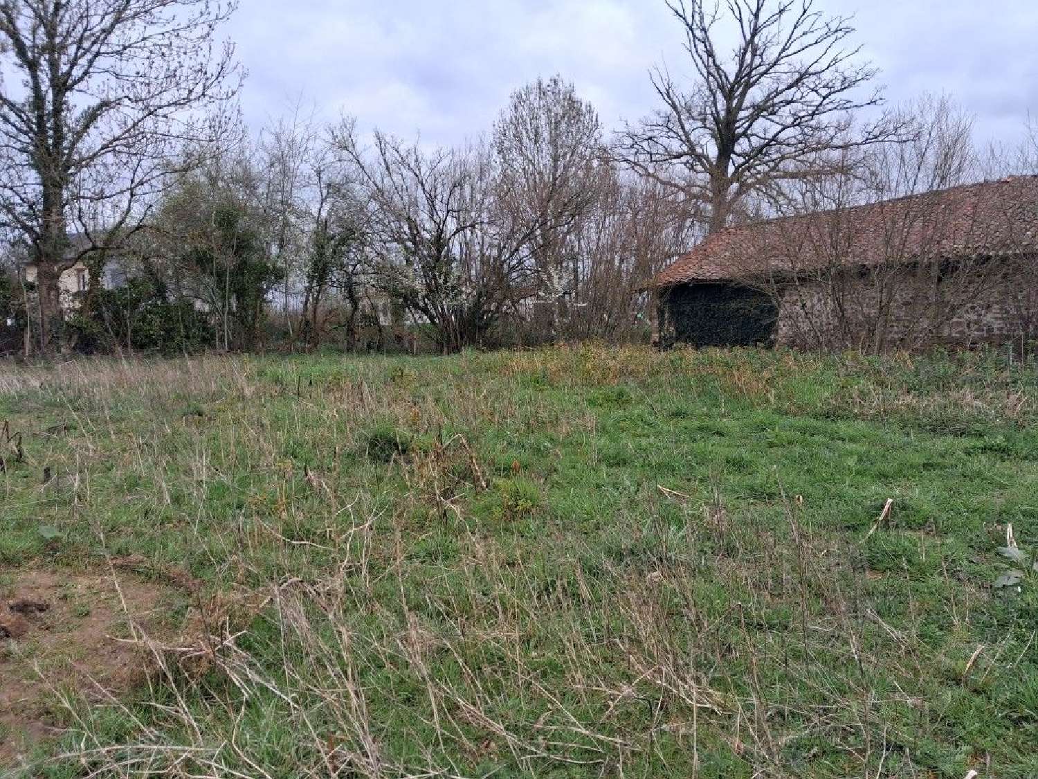  à vendre maison Saint-Genest-sur-Roselle Haute-Vienne 2