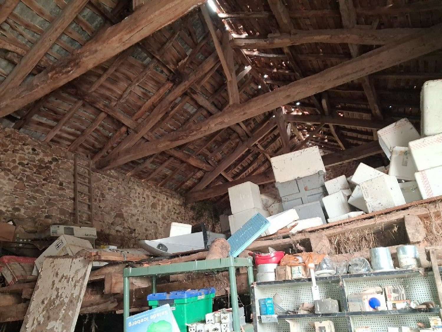  à vendre maison Saint-Genest-sur-Roselle Haute-Vienne 4