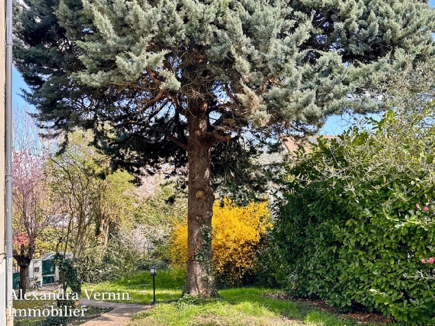  for sale house Saint-Germain-en-Laye Yvelines 4